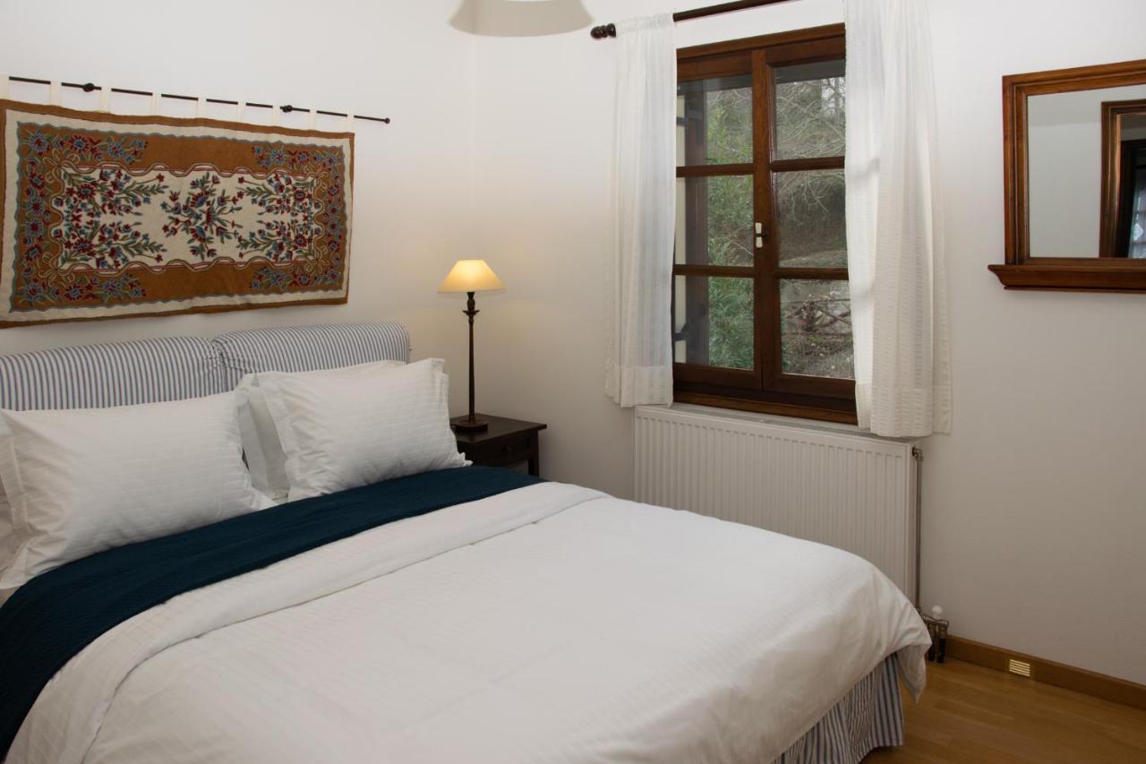 Θαλλώ Luxurious Villa Tsagkarada Exterior foto