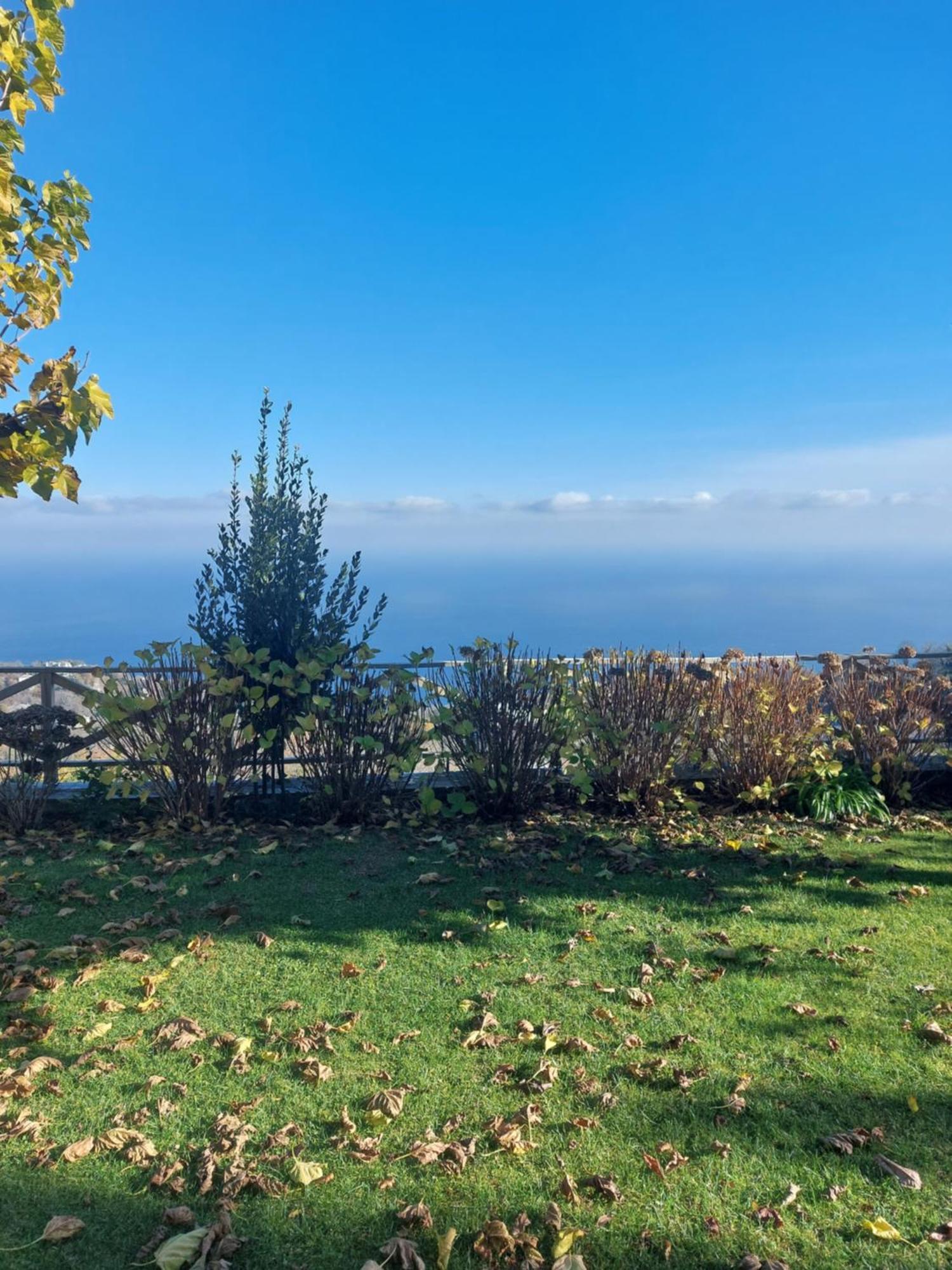 Θαλλώ Luxurious Villa Tsagkarada Habitación foto