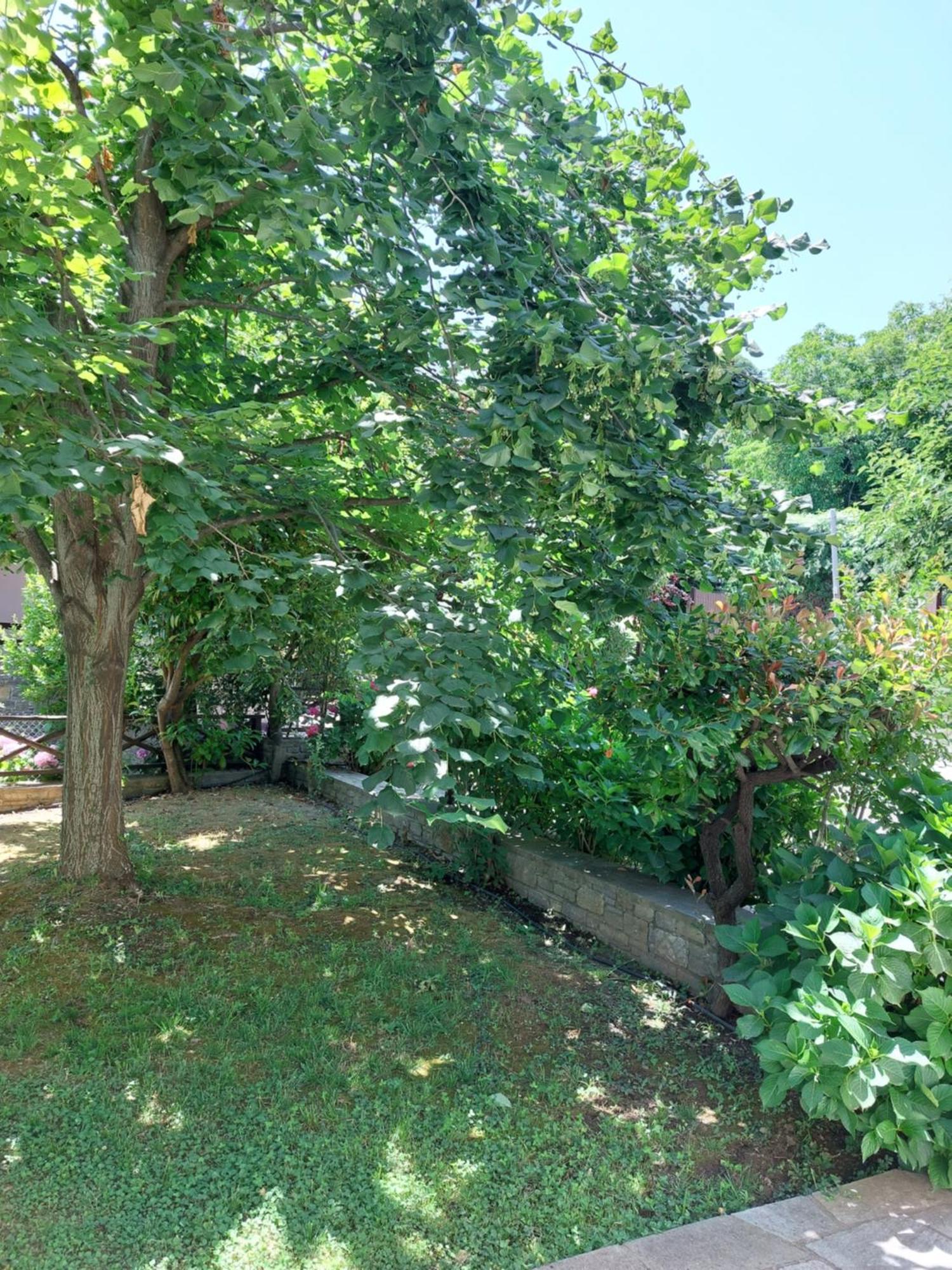 Θαλλώ Luxurious Villa Tsagkarada Exterior foto