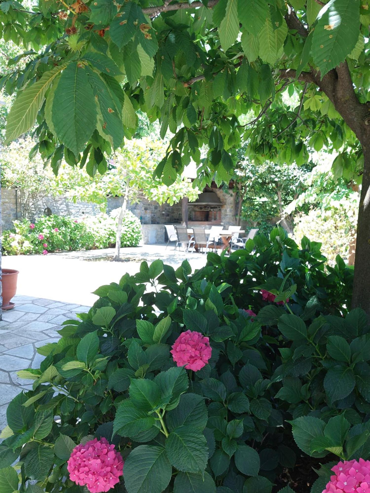 Θαλλώ Luxurious Villa Tsagkarada Exterior foto